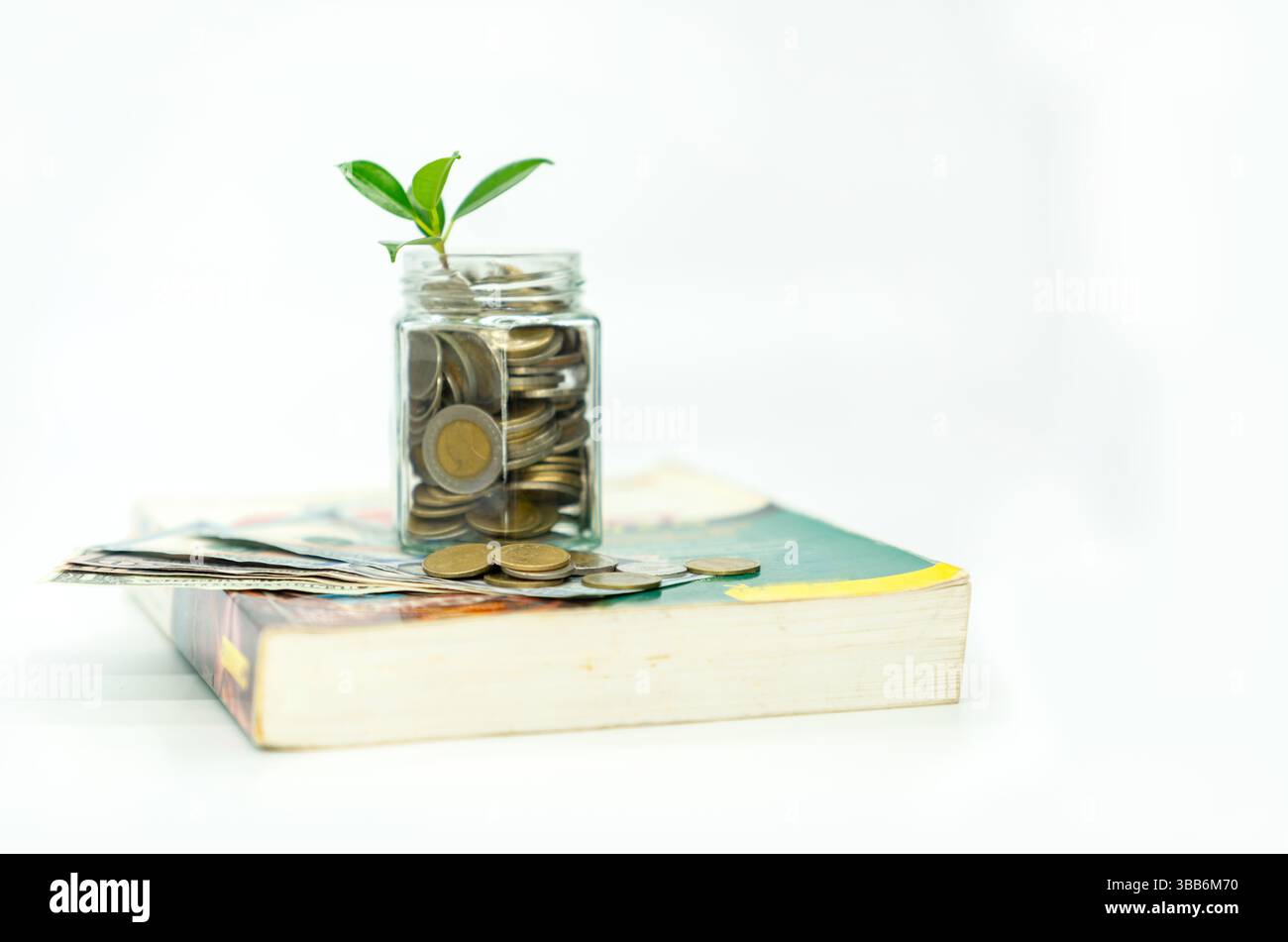 Piantare con monete in moneta in vaso e biill in dollari fuori lato su libro sfocato e isolare sfondo bianco. Foto Stock