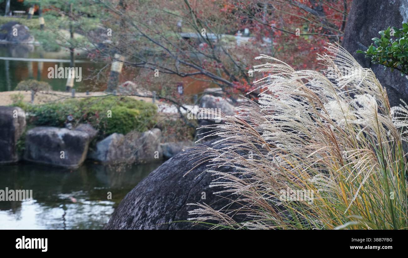 Riflessioni autunnali: Lo splendore stagionale del giardino di Shirotori Foto Stock