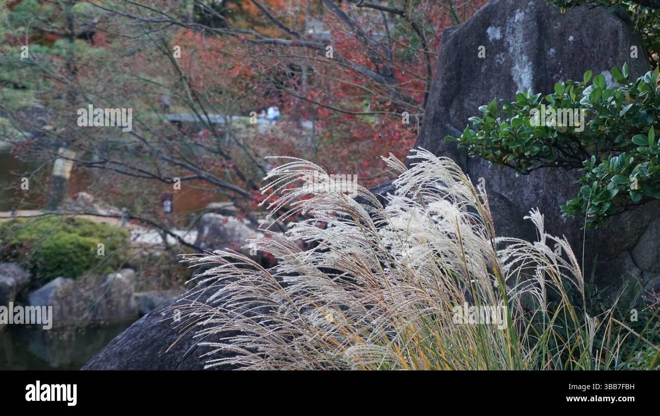 Riflessioni autunnali: Lo splendore stagionale del giardino di Shirotori Foto Stock