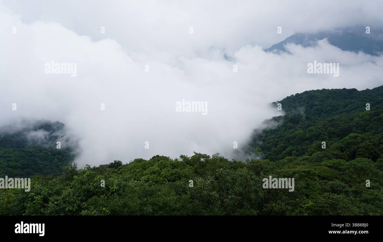 Monte Fanjing: Picchi sacri e templi nuvolosi a Guizhou, Cina Foto Stock