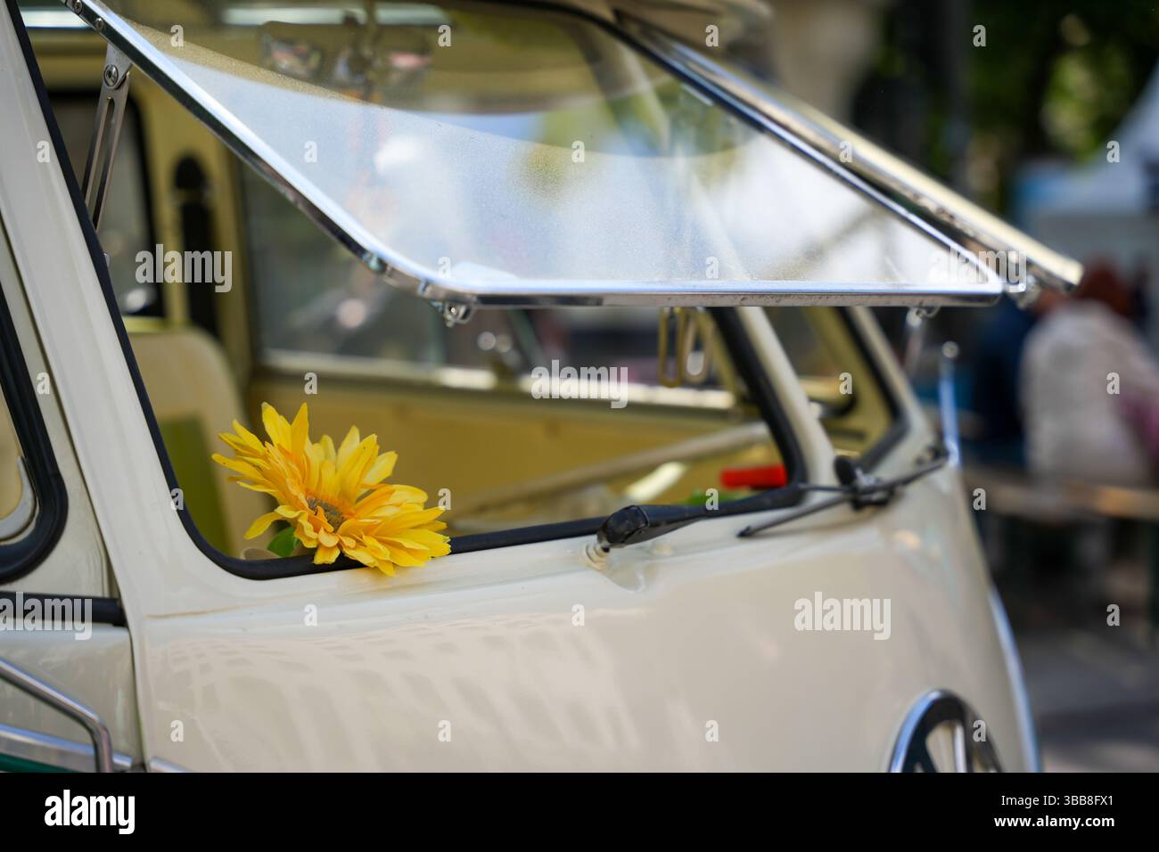 Germania Berlino 11 maggio 2025. Girasole nella finestra VW Bulli aperta. Un girasole giallo è bloccato nell'aletta di ventilazione aperta di una VW Bulli. L'immagine radi Foto Stock