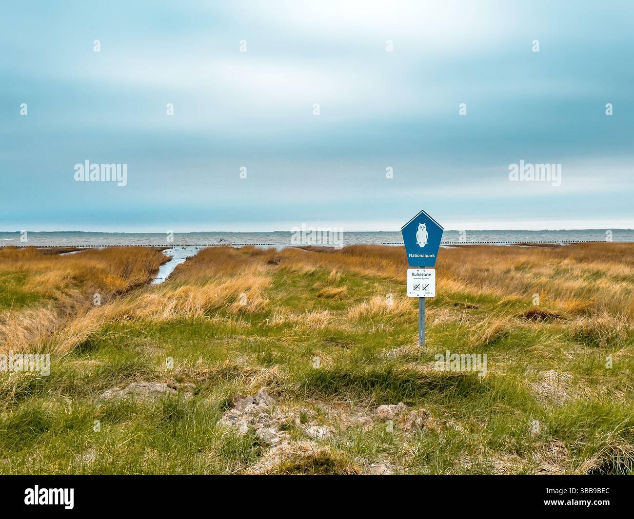 Parco nazionale del Mare di Wadden ad Harlesiel, Frisia Orientale, Germania. Sito patrimonio dell'umanità dell'UNESCO, ecosistema intertidale unico e alta biodiversità. - Immagine stock catturata con smartphone