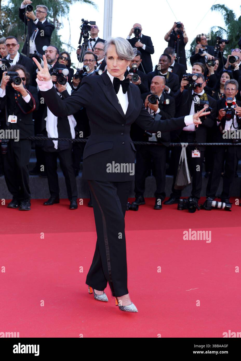 Andie McDowellpartecipa al Red carpet "Mission Impossible - The Final Reckoning" al 78° Festival annuale di Cannes al Palais des Festivals il 14 maggio 2025 a Cannes, Francia. Foto: DGP/imageSPACE /MediaPunch Foto Stock