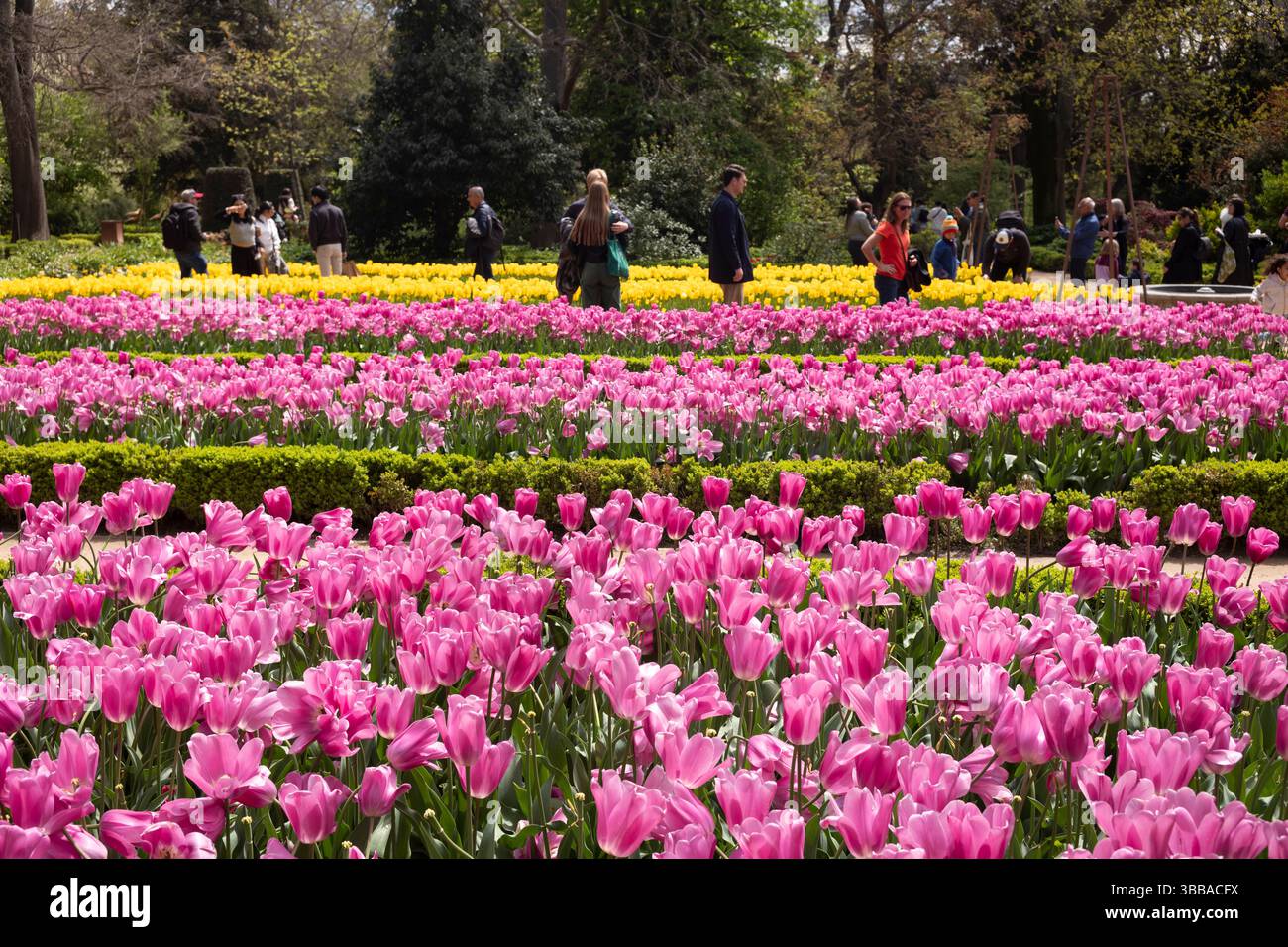 Il Real Jardín Botánico de Madrid, che ospita oltre 5000 diversi tipi di fiori, si trova accanto al Museo del Prado nel centro di Madrid, Spagna, Europa Foto Stock