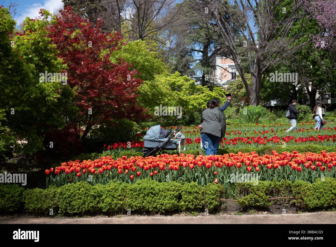 Il Real Jardín Botánico de Madrid, che ospita oltre 5000 diversi tipi di fiori, si trova accanto al Museo del Prado nel centro di Madrid, Spagna, Europa Foto Stock