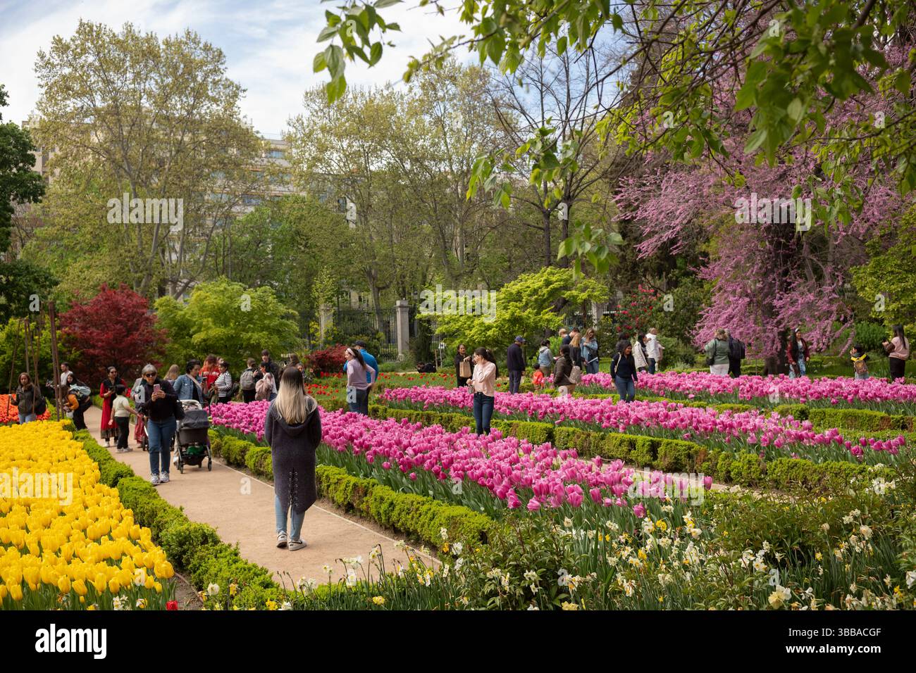 Il Real Jardín Botánico de Madrid, che ospita oltre 5000 diversi tipi di fiori, si trova accanto al Museo del Prado nel centro di Madrid, Spagna, Europa Foto Stock