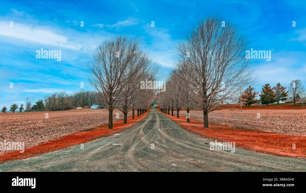 Estate indiana - vivace Foto Stock