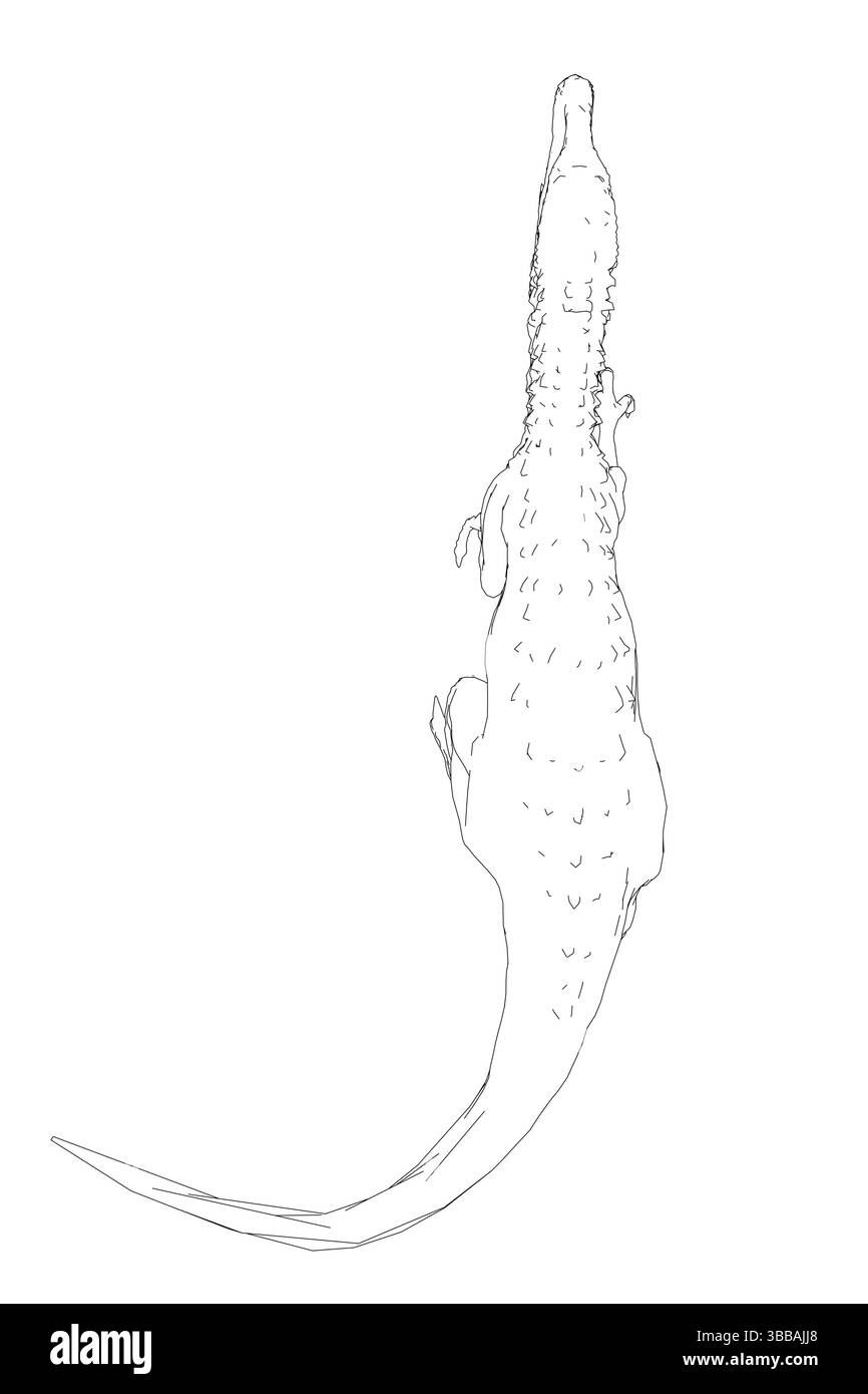 Un disegno di un dinosauro con una coda lunga. Il disegno è in bianco e nero. L'immagine è di un singolo animale, ed è l'unica cosa nell'immagine. Illustrazione Vettoriale