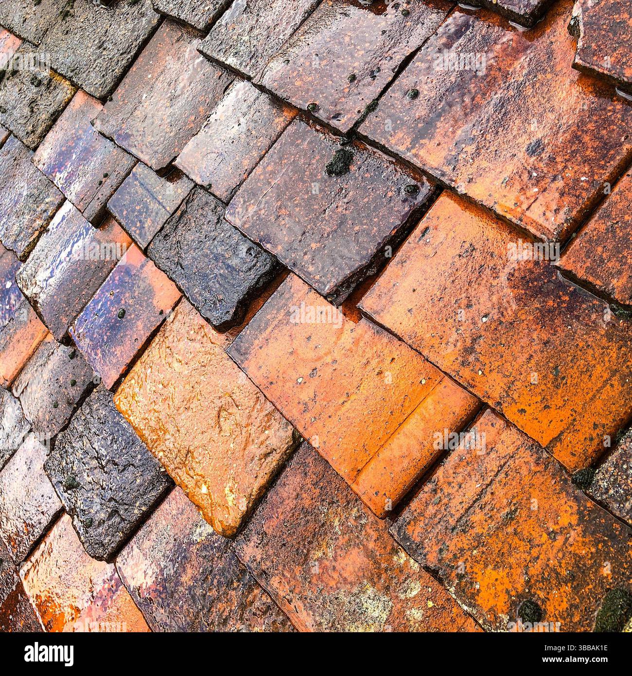 Vecchie tegole di terracotta bagnate dopo un periodo di pioggia. Foto Stock
