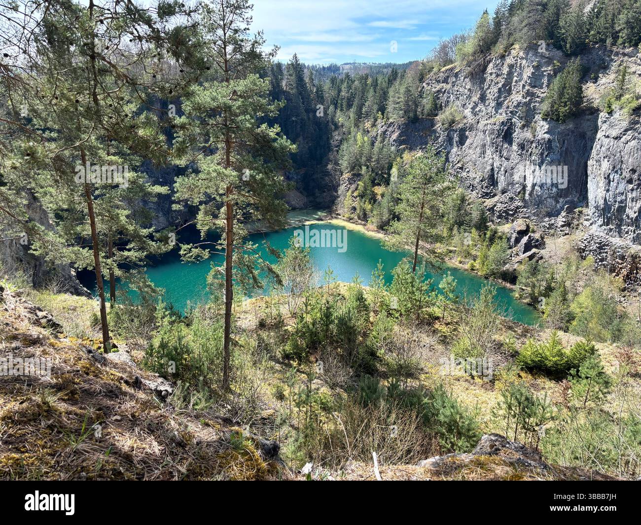 Il lago nel bosco Foto Stock