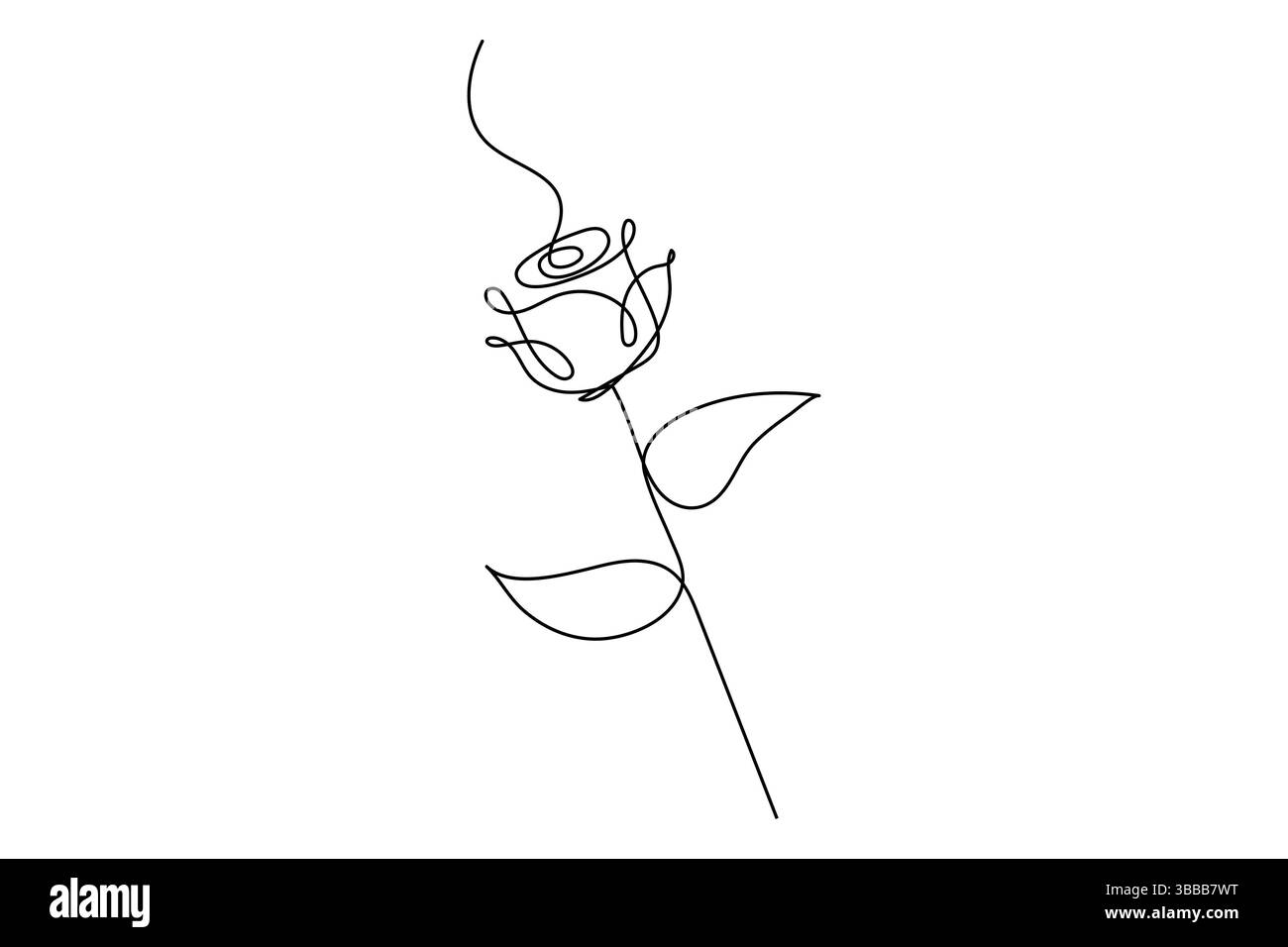 Fiore di rosa continuo disegno su una linea di fiori di rosa illustrazione vettoriale isolata design minimalista Illustrazione Vettoriale