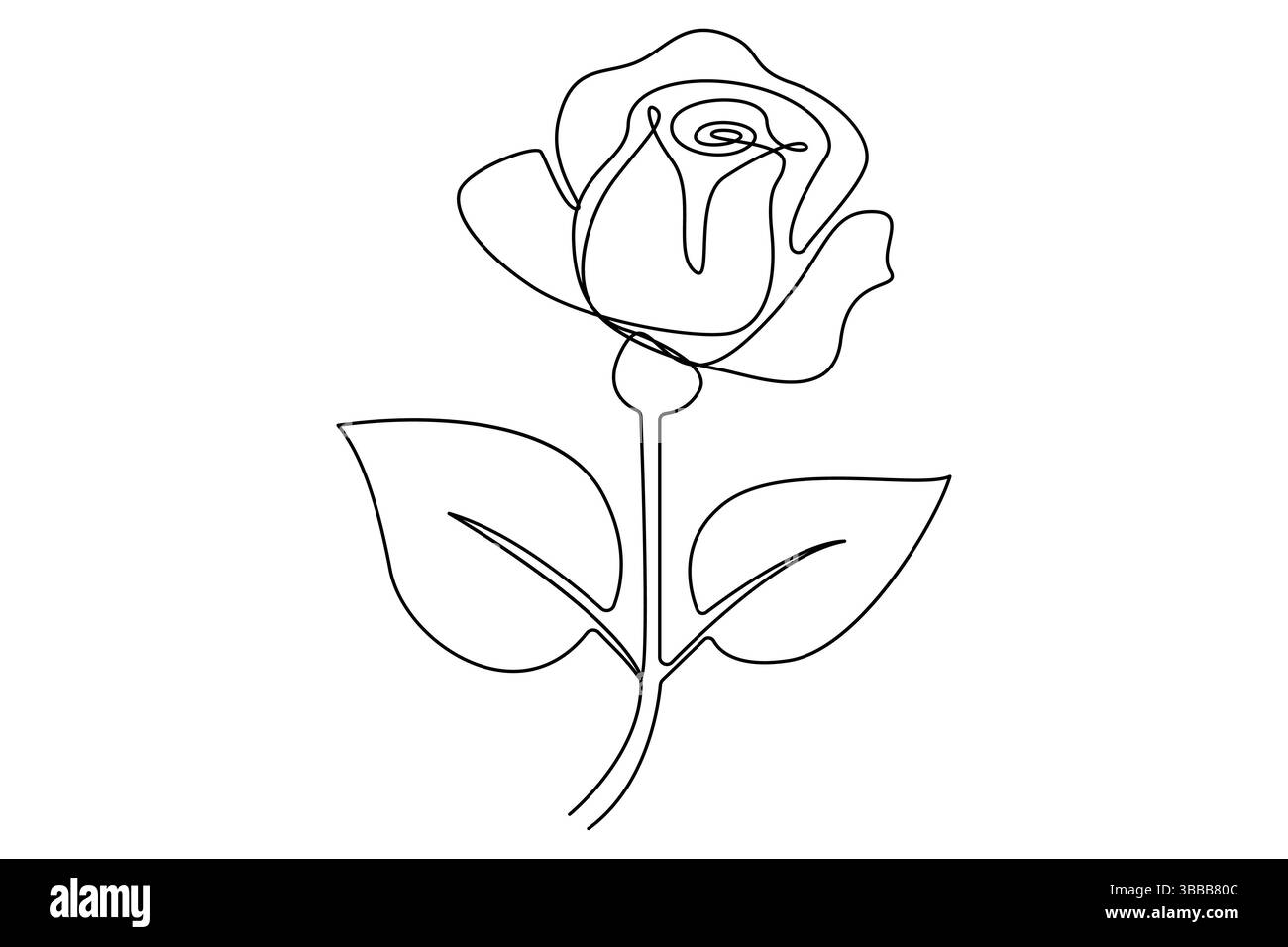 Fiore di rosa continuo disegno su una linea di fiori di rosa illustrazione vettoriale isolata design minimalista Illustrazione Vettoriale