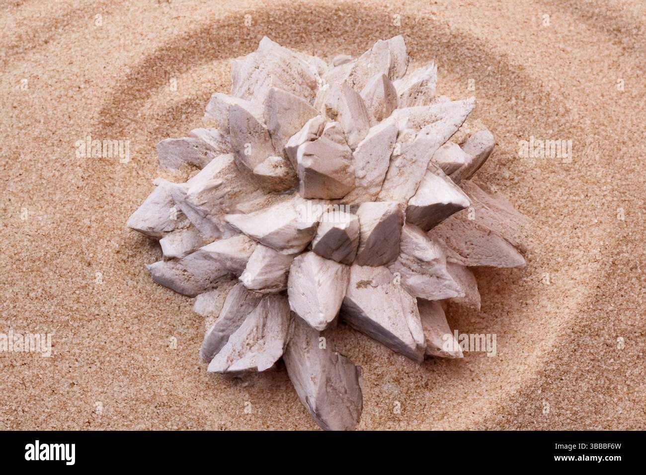 Aragonite minerale campione di formazioni di cristallo marrone che poggiano sulla sabbia del deserto. Foto Stock