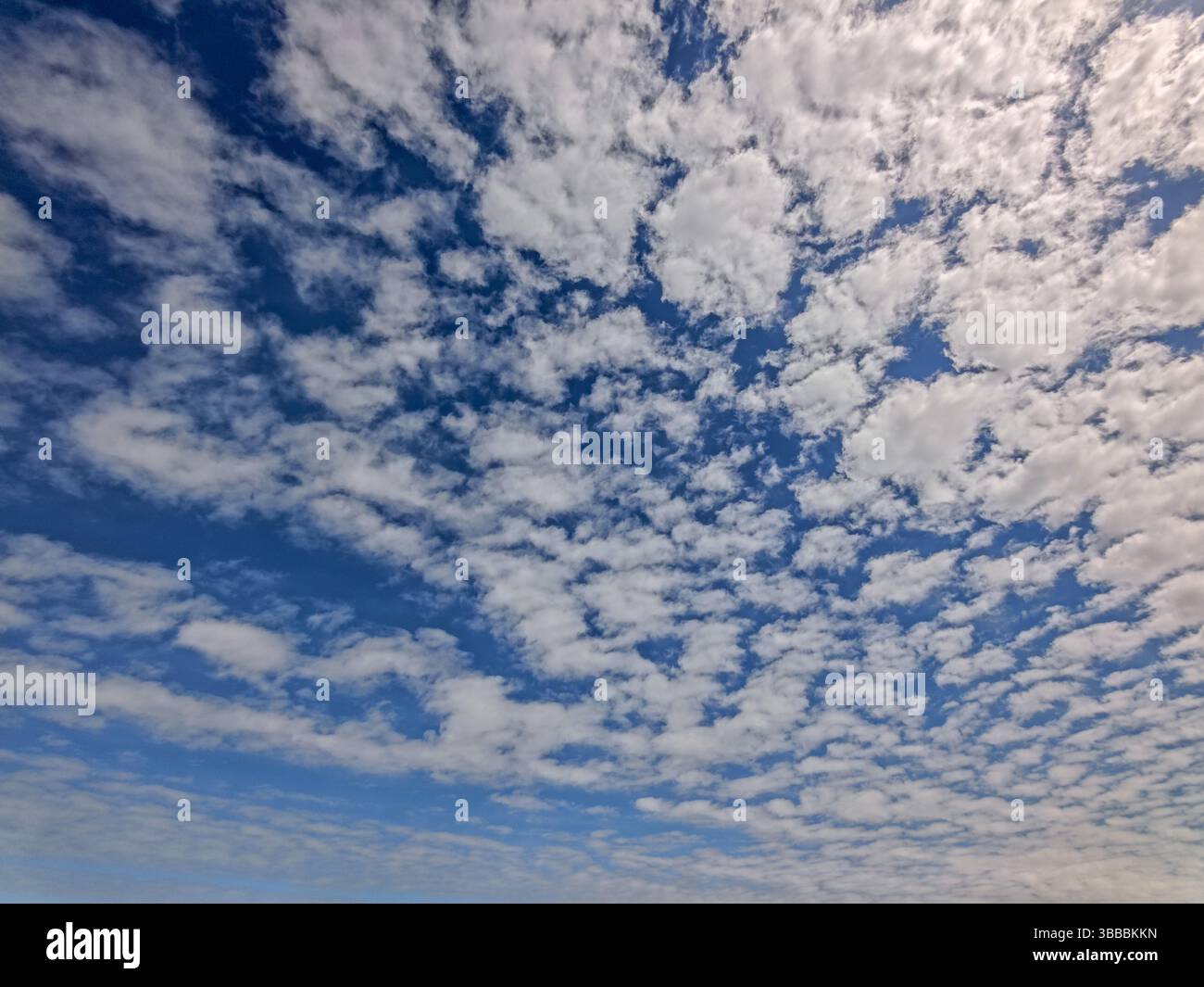 Cielo blu con formazioni nuvolose di nuvole di Cumulus in una giornata di sole, St. Peter-Ording, sul Mare del Nord, Germania del Nord, Europa Foto Stock