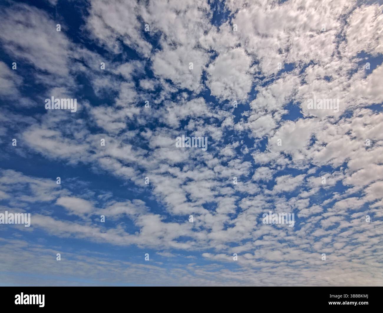 Cielo blu con formazioni nuvolose di nuvole di Cumulus in una giornata di sole, St. Peter-Ording, sul Mare del Nord, Germania del Nord, Europa Foto Stock