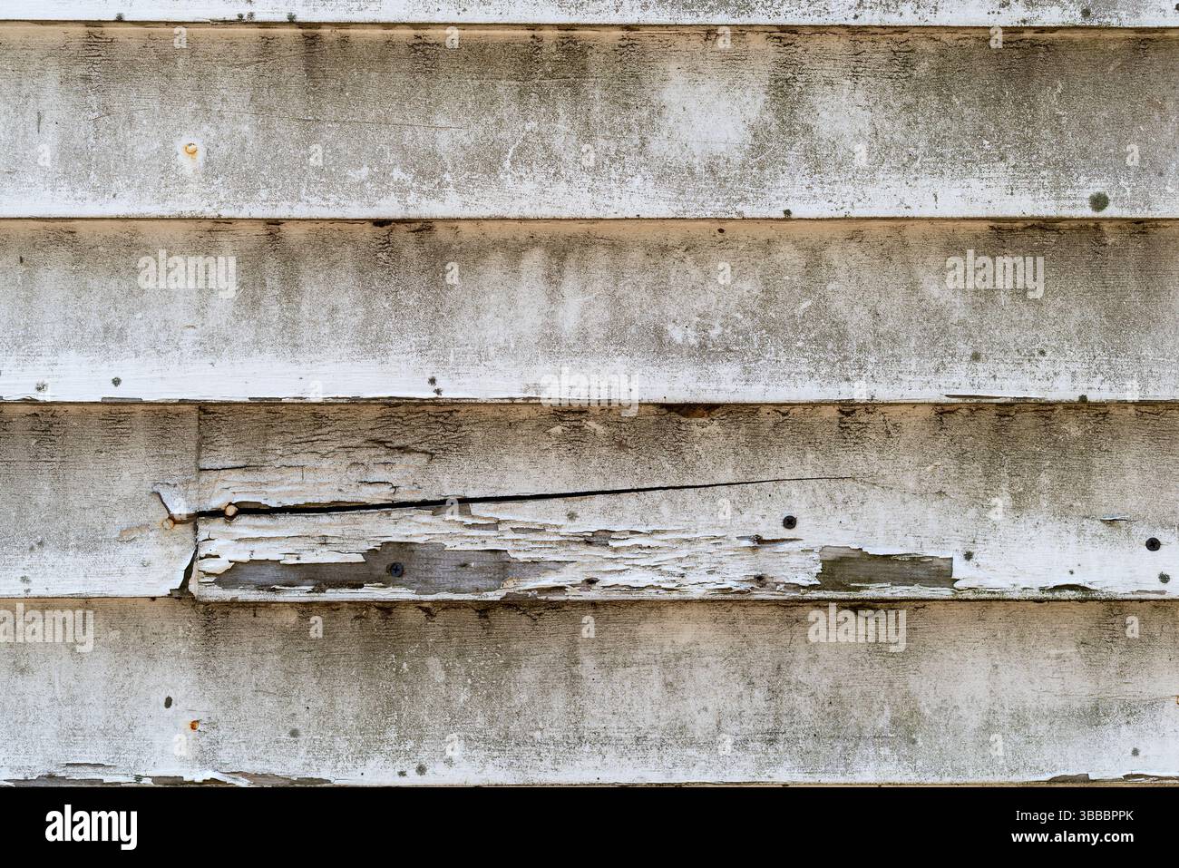 Immagine di un vecchio rivestimento in legno usurato con crepe e chiodi extra alla luce del mattino. Foto Stock