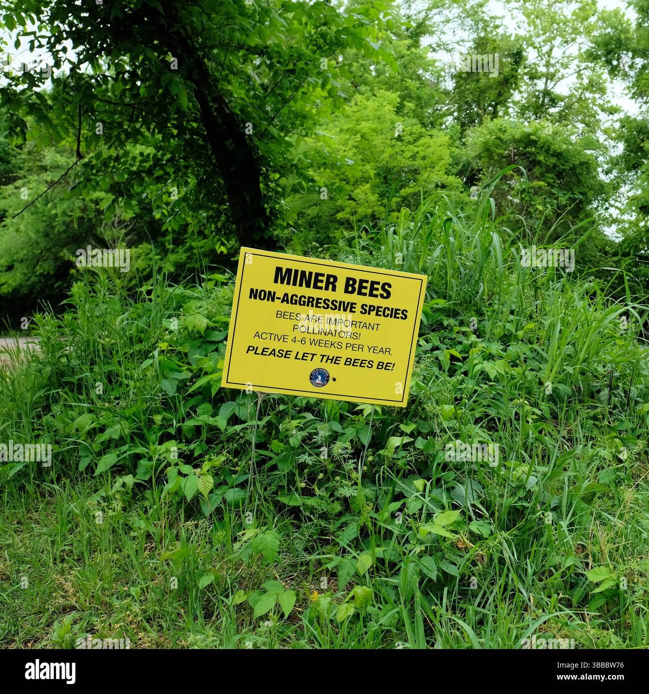 Cartello che chiede ai visitatori del parco di lasciare che le api minatrici siano impollinate; specie non aggressive che impollinano attivamente a Belle Isle, Richmond, Virginia. Foto Stock