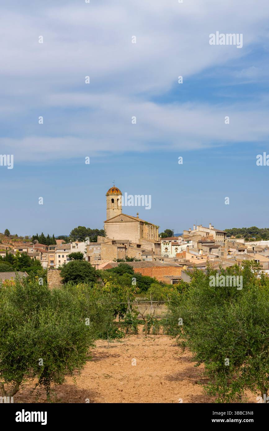 Uliveto in primo piano con la città di Blancafort e la sua chiesa sullo sfondo sotto un cielo nuvoloso Foto Stock