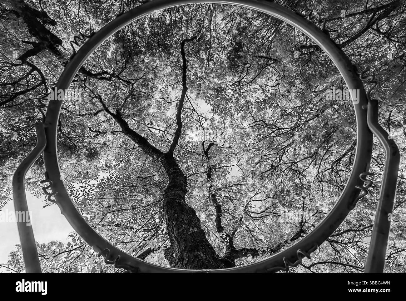 Incorniciato da The Rim: Nature’s Hoop Foto Stock