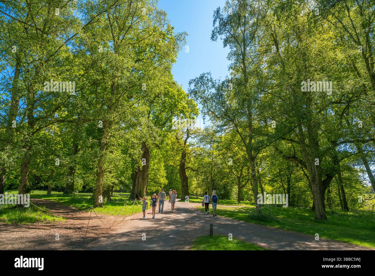 Passerella attraverso i terreni di Castle Howard, una casa signorile vicino a York, Yorkshire, Inghilterra, Regno Unito Foto Stock