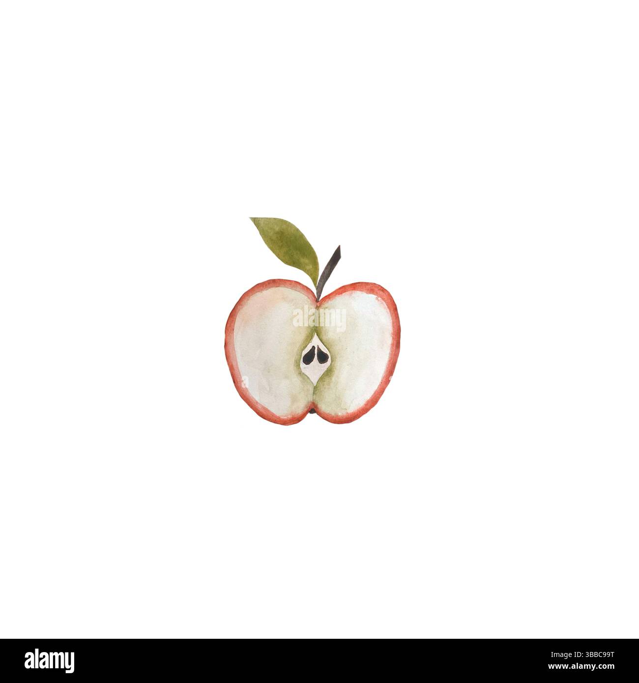 Illustrazione della mela ad acquerello, che disegna metà della mela isolata su sfondo bianco, mela con tecnica ad acquerello, elemento di frutta per la progettazione, botanico Foto Stock