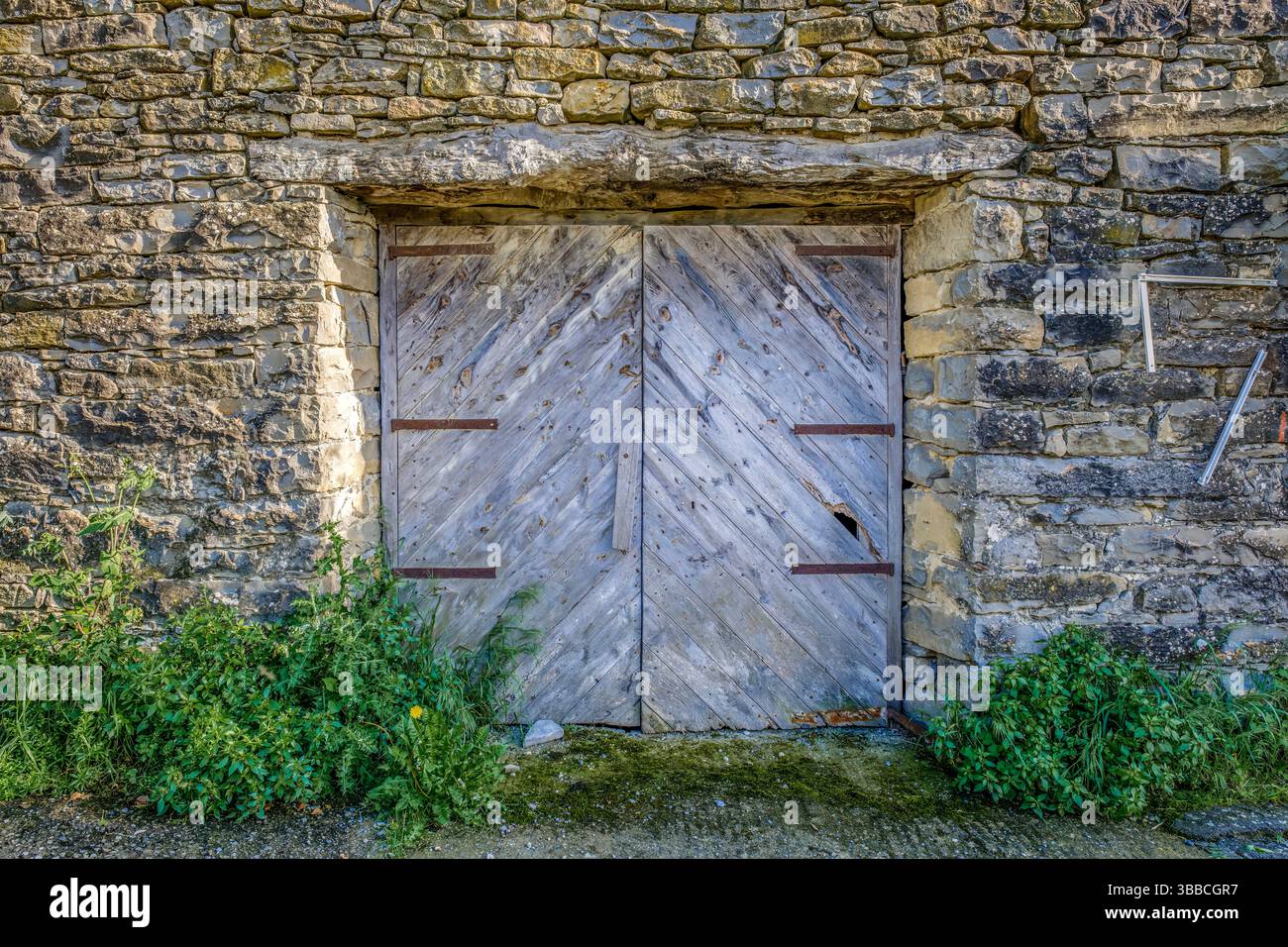 Vecchie porte in legno intemperie incastonate in una rustica parete di pietra, fiancheggiate da piante verdi. Evoca un senso di storia e fascino rurale. Ideale per temi di età, ciao Foto Stock