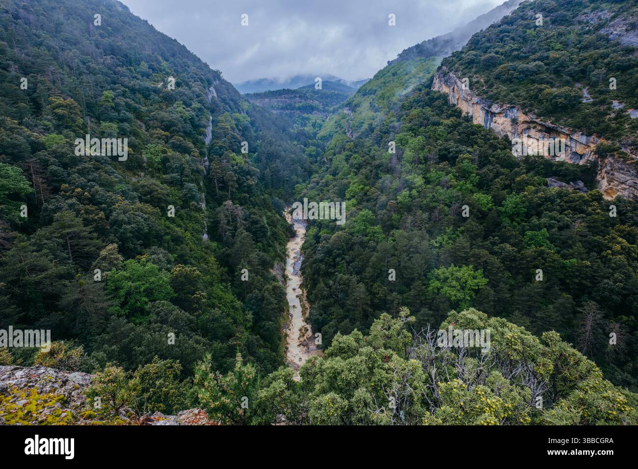 Spettacolare canyon fluviale profondo, con acqua impetuosa e fangosa che attraversa il paesaggio boscoso delle montagne sotto il cielo mooso. Vista della gola selvaggia dall'alto vicino a San M Foto Stock