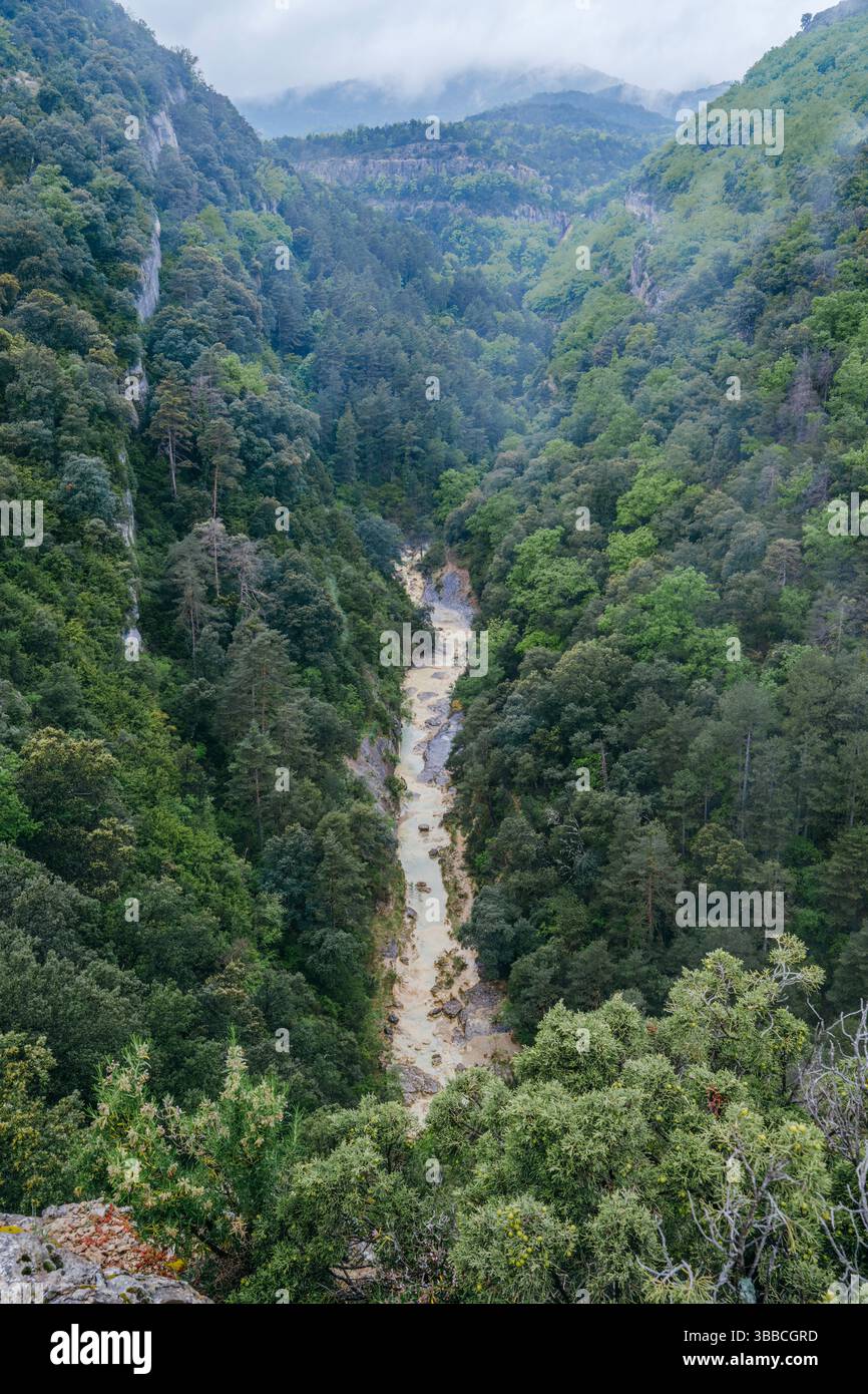 Profondo canyon boscoso con fiume fangoso che si intagliano attraverso ripidi pendii di montagna. Spettacolare paesaggio selvaggio catturato dal punto panoramico sopra San M. Foto Stock