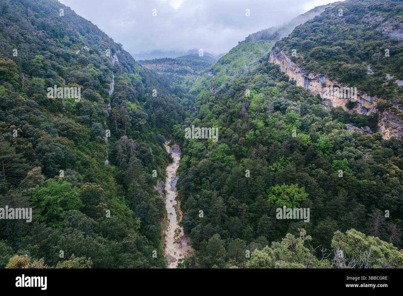 Profondo canyon boscoso con fiume fangoso che si intagliano attraverso ripidi pendii di montagna. Spettacolare paesaggio selvaggio catturato dal punto panoramico sopra San M. Foto Stock
