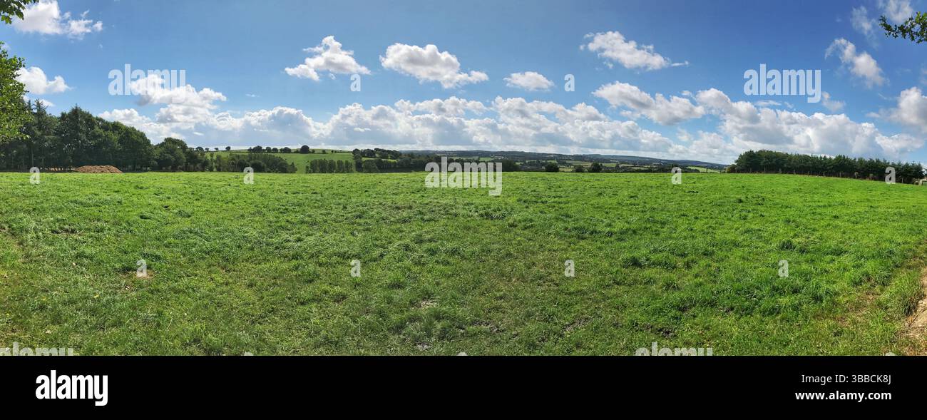 Una vista panoramica di lussureggianti campi verdi che si estendono sotto un cielo blu pieno di nuvole. Ideale per concetti sereni, pastorali e rurali, questo imag Foto Stock