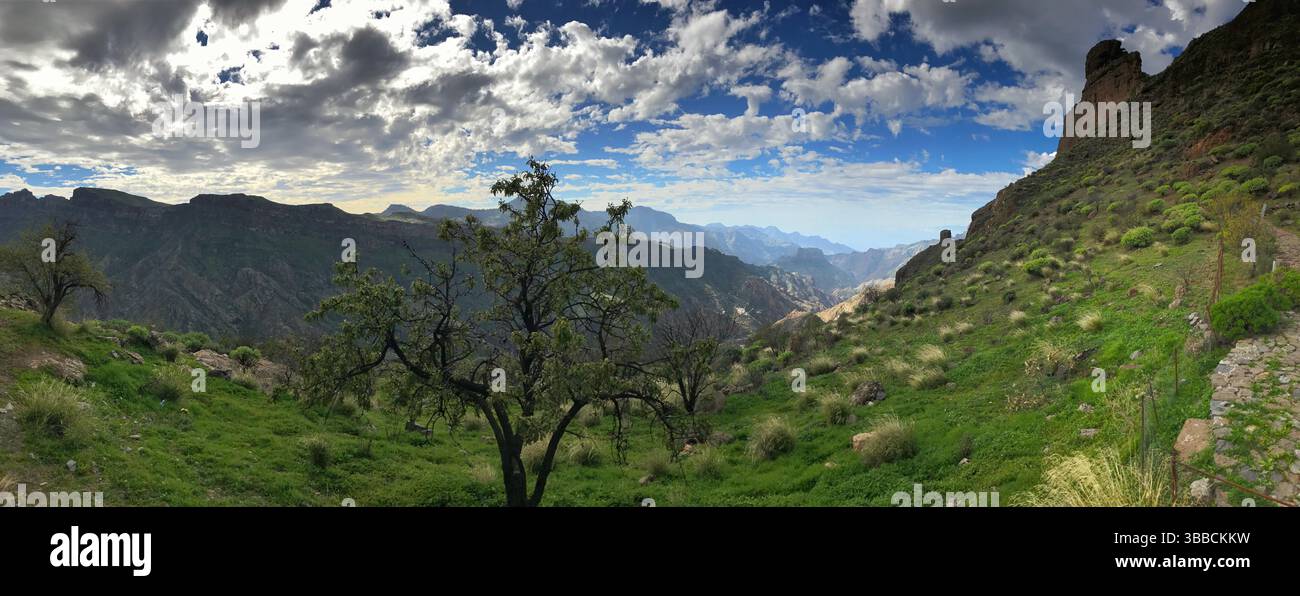 Una splendida vista panoramica di un lussureggiante paesaggio verde con montagne e un cielo nuvoloso. La scena cattura la bellezza della natura e evoca pace e tran Foto Stock
