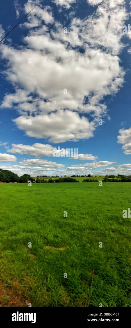 Ampia foto panoramica che mostra un campo verde vivido sotto un cielo blu vibrante, punteggiato da soffici nuvole bianche, catturando la bellezza della serenità della natura Foto Stock