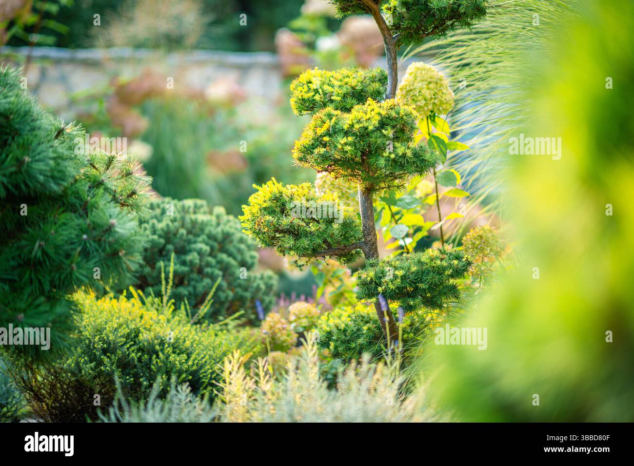 Un giardino splendidamente progettato presenta una serie di arbusti ornamentali e fogliame, sapientemente disposti per creare un ambiente visivamente attraente. La S Foto Stock