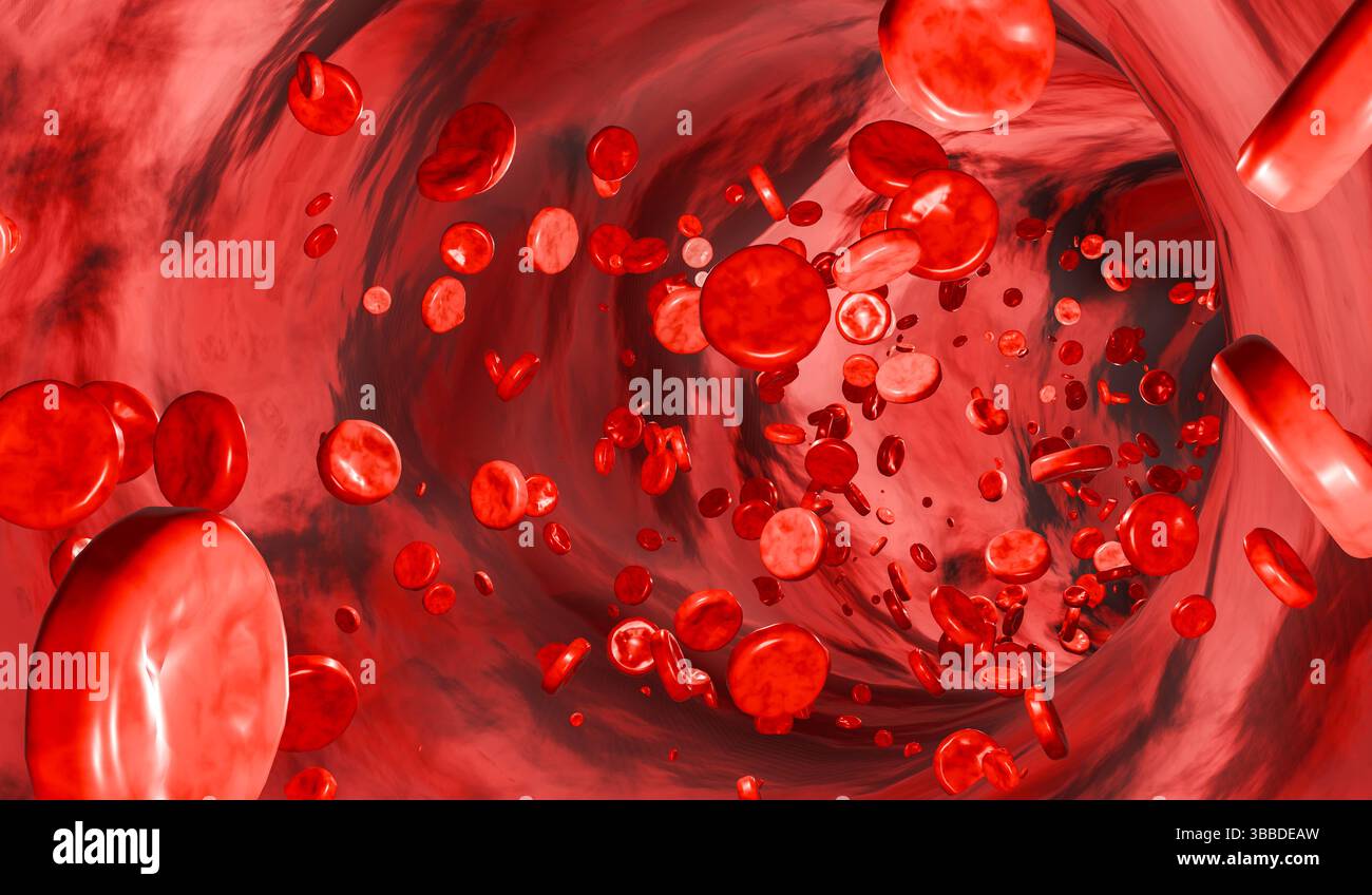Arteria, vena con cellule ematiche e plasma ematico. Arteria, vena con cellule ematiche e plasma ematico. Emoglobina, globulo, flusso sanguigno, arterie, parte del corpo umano. Illustrazione 3D img science012s03 Blood Cells Foto Stock