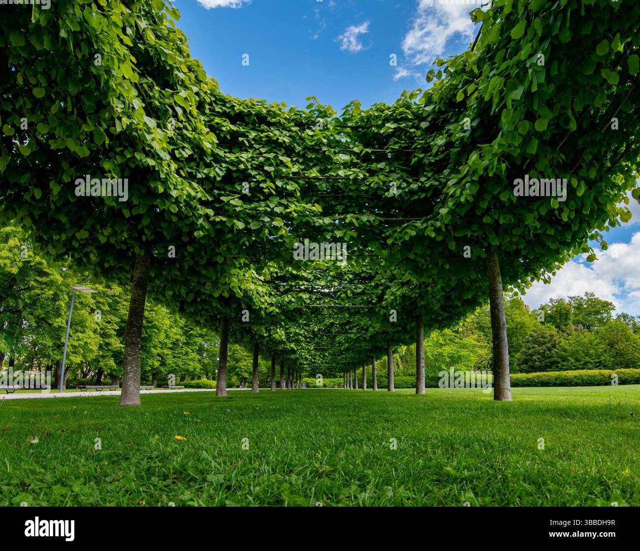 Sostenere l'ambiente verde. Città moderna e rispettosa dell'ambiente. Fiera dell'energia verde. Summit globale sull'energia rinnovabile. Conferenza internazionale sull'energia verde. 2025 Foto Stock