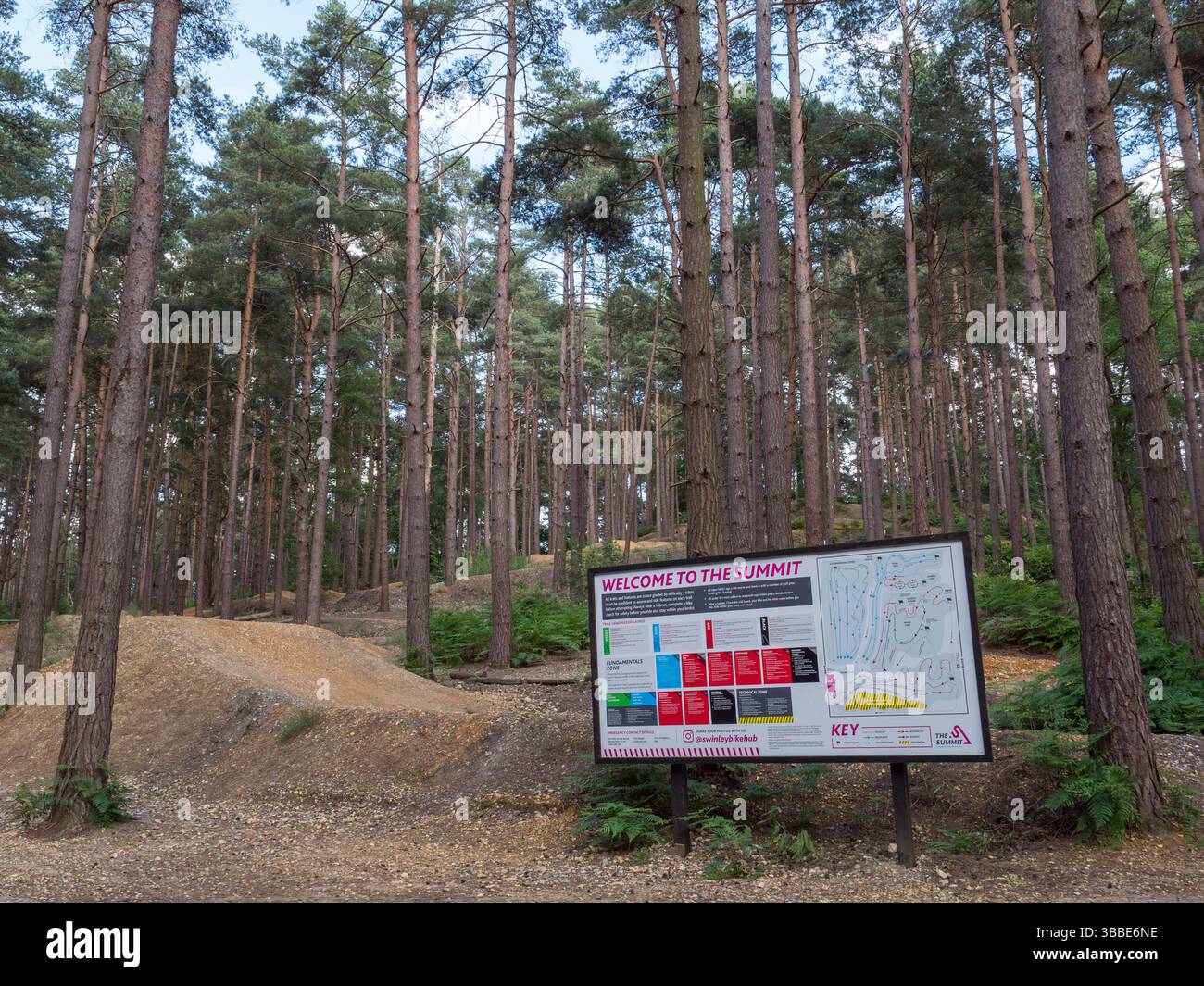 The Summit, The Swinley Forest Blue Mountain Bike Trail, Swinley Forest, Windlesham, Berkshire, Regno Unito. Foto Stock