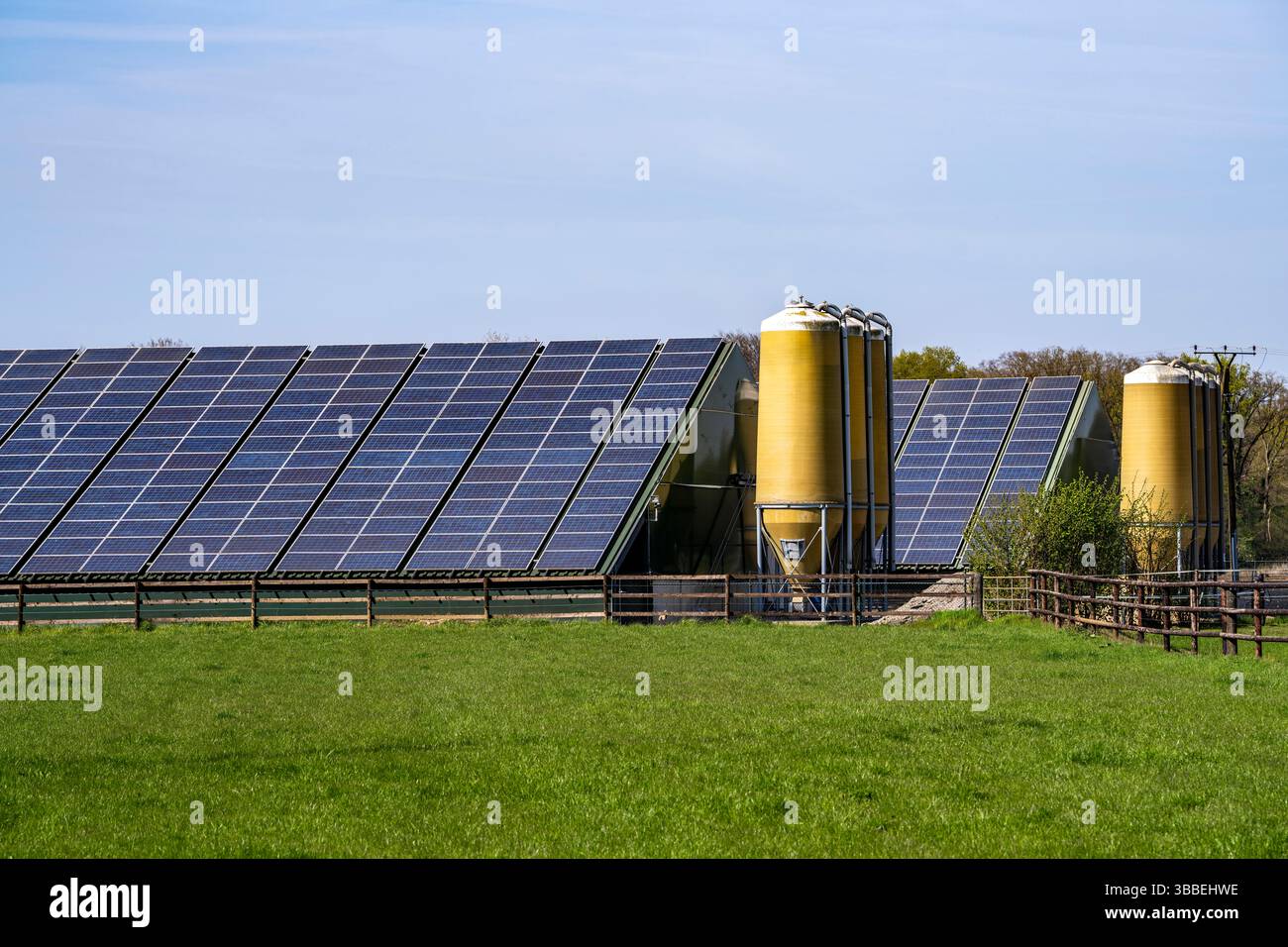 Stalle agricole per la zootecnia, completamente attrezzate con moduli fotovoltaici, vicino a Geldern, Renania settentrionale-Vestfalia, Germania, Foto Stock