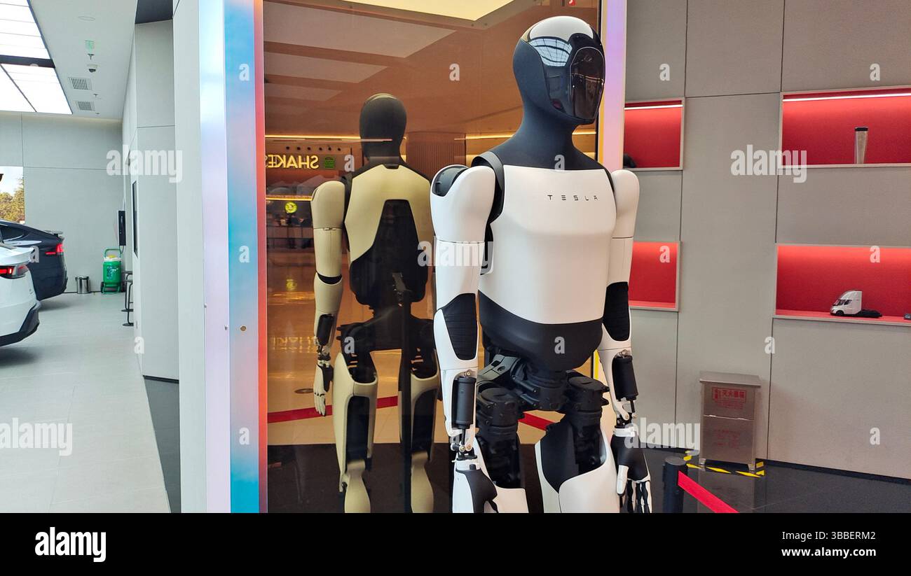 SHANGHAI, CINA - 15 MAGGIO 2025 - il robot umanoide Tesla Optimus Gen-2 in mostra in un negozio Tesla a Shanghai, Cina, il 15 maggio 2025. Foto Stock