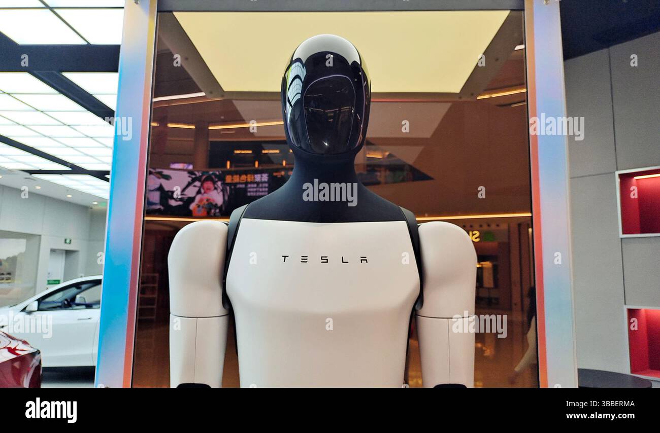 SHANGHAI, CINA - 15 MAGGIO 2025 - il robot umanoide Tesla Optimus Gen-2 in mostra in un negozio Tesla a Shanghai, Cina, il 15 maggio 2025. Foto Stock