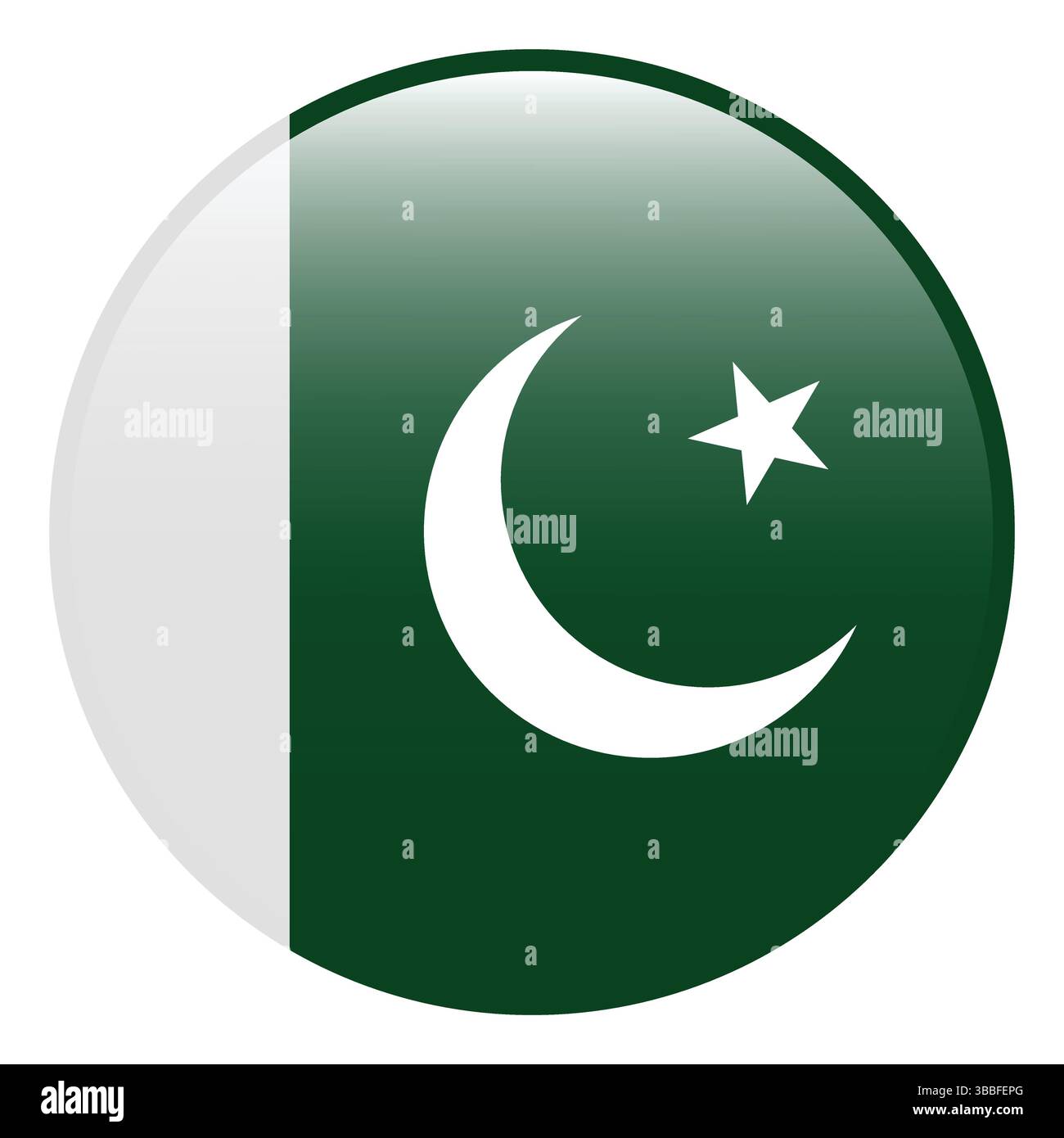 Bandiera del Pakistan. Icona del logo 3d della bandiera del Pakistan icona del logo vettoriale del computer. Illustrazione Vettoriale
