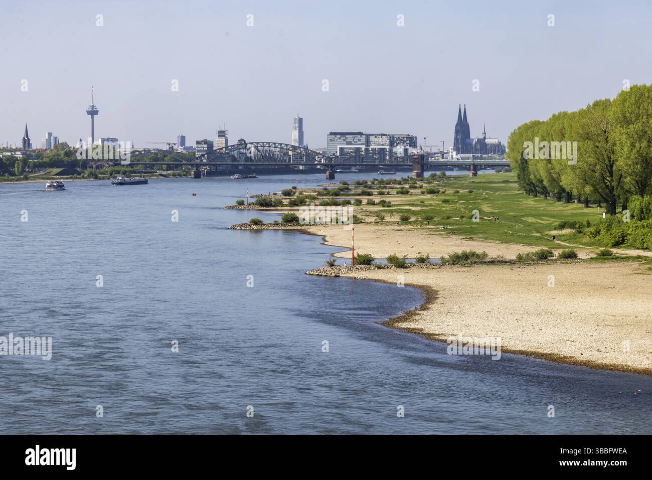 Acqua bassa sul Reno. Vista dal ponte Rodenkirchen sul Reno. Vista sulla città con la cattedrale di Colonia. Colonia, Renania settentrionale-Vestfalia, Germania, Europa Foto Stock