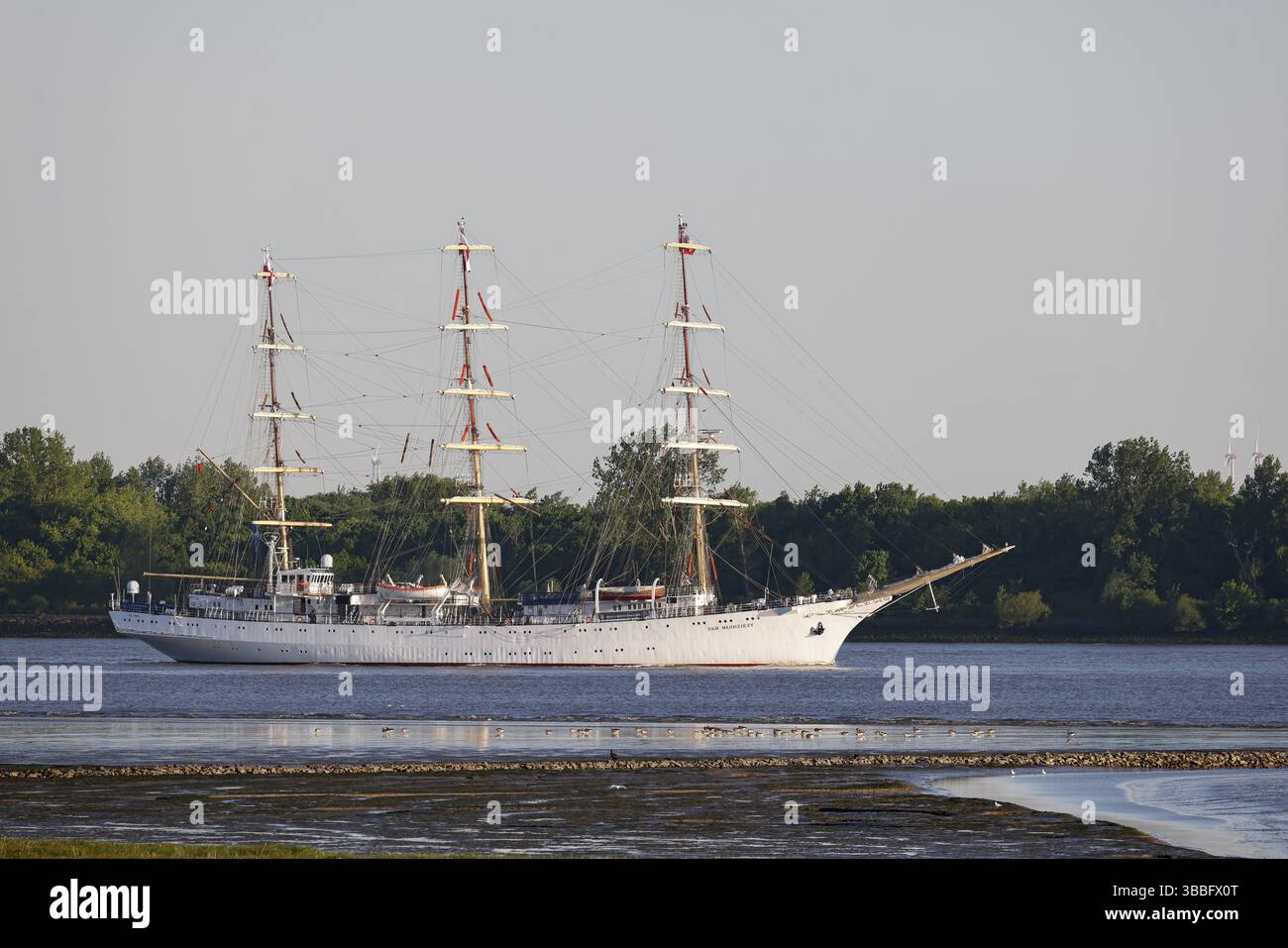 La nave addestramento a vela polacca Dar MNodziezy lascia il porto di Amburgo sul fiume Elba, Wedel, Schleswig-Holstein, Germania, Europa Foto Stock