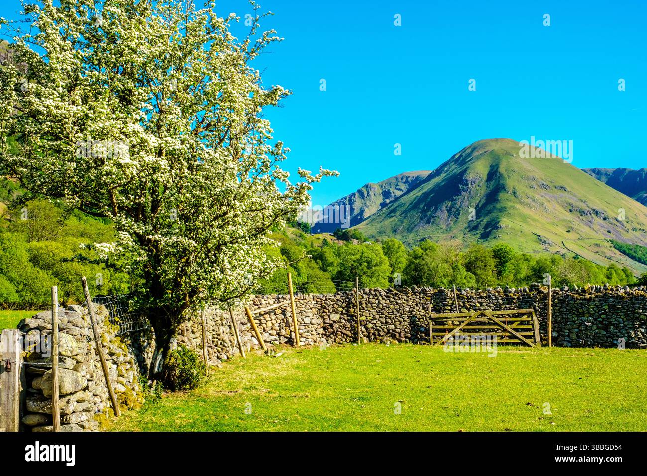 High Hartsop Dodd - una collina a Patterdale, Lake District National Park, Cumbria, Regno Unito Foto Stock