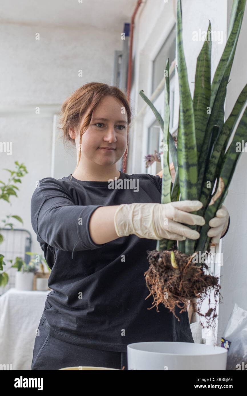 Donna adulta positiva in possesso di una pianta verde in mano con guanti in nitrile in posizione interna. Concetto di giardinaggio, relax e piantagione. Foto Stock