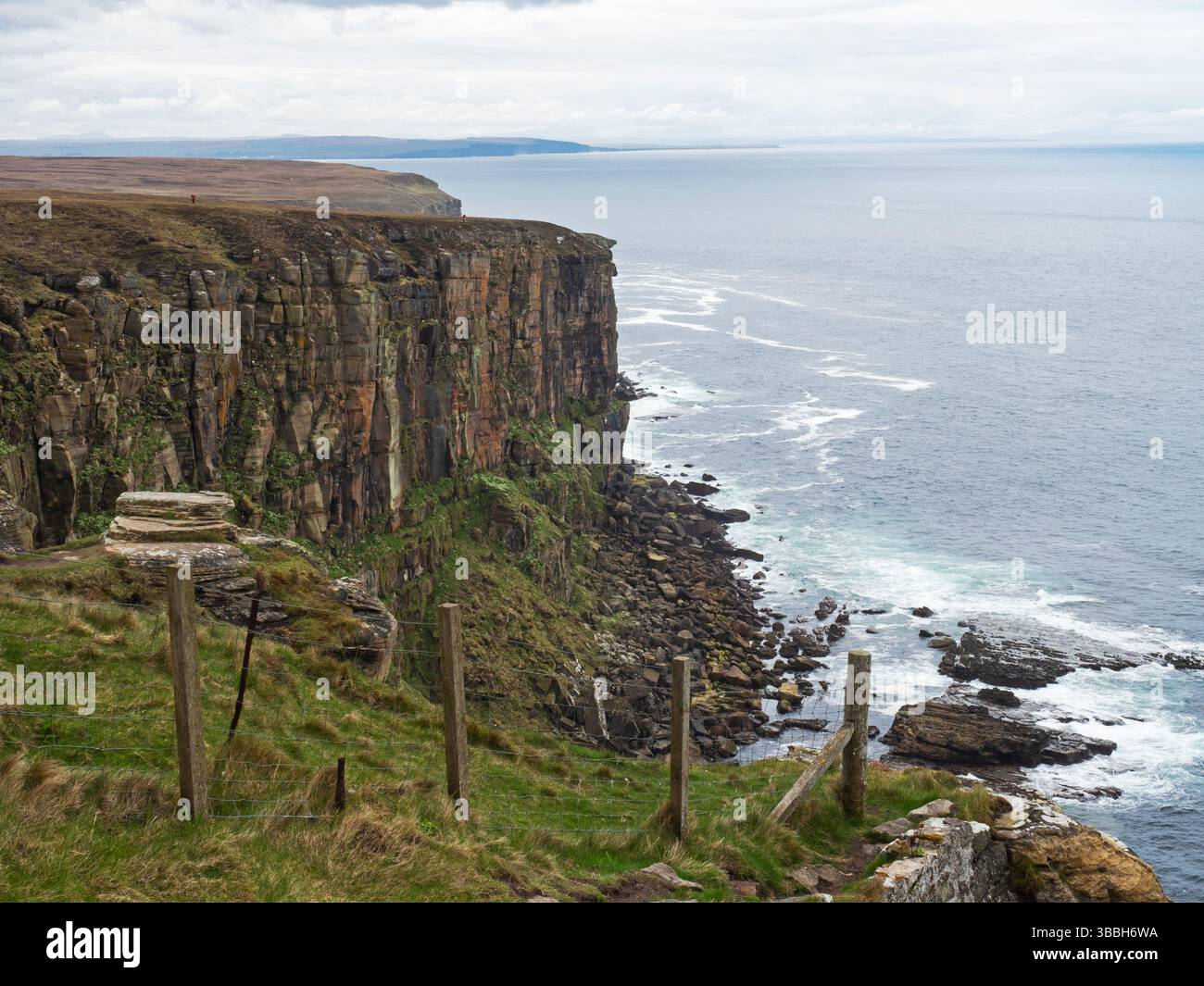 Seabird Cliffs, Dunnet Head Nature Reserve, Caithness, Scozia, Regno Unito, maggio 2021 Foto Stock