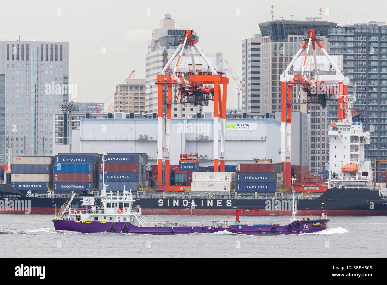 Nave container nel porto di Tokyo. Il Giappone è fortemente dipendente dalle esportazioni (ad esempio, automobili, elettronica), affronta i rischi derivanti dalle tariffe statunitensi, in particolare sulle automobili (una tariffa proposta del 25% durante il primo mandato di Trump è stata rinviata, ma rimane una preoccupazione). Tariffe più elevate potrebbero ridurre l'accesso al mercato statunitense del Giappone, aumentare i prezzi al consumo e danneggiare la crescita del PIL. Tuttavia, l'allineamento strategico del Giappone con gli Stati Uniti e le esenzioni da alcune tariffe (tariffe dell'acciaio nel 2018) offrono un parziale sollievo. Il Giappone ha anche imperniato per diversificare il commercio attraverso accordi come il CPTPP e il RCEP, riducendo la dipendenza dal mercato statunitense. Foto Stock