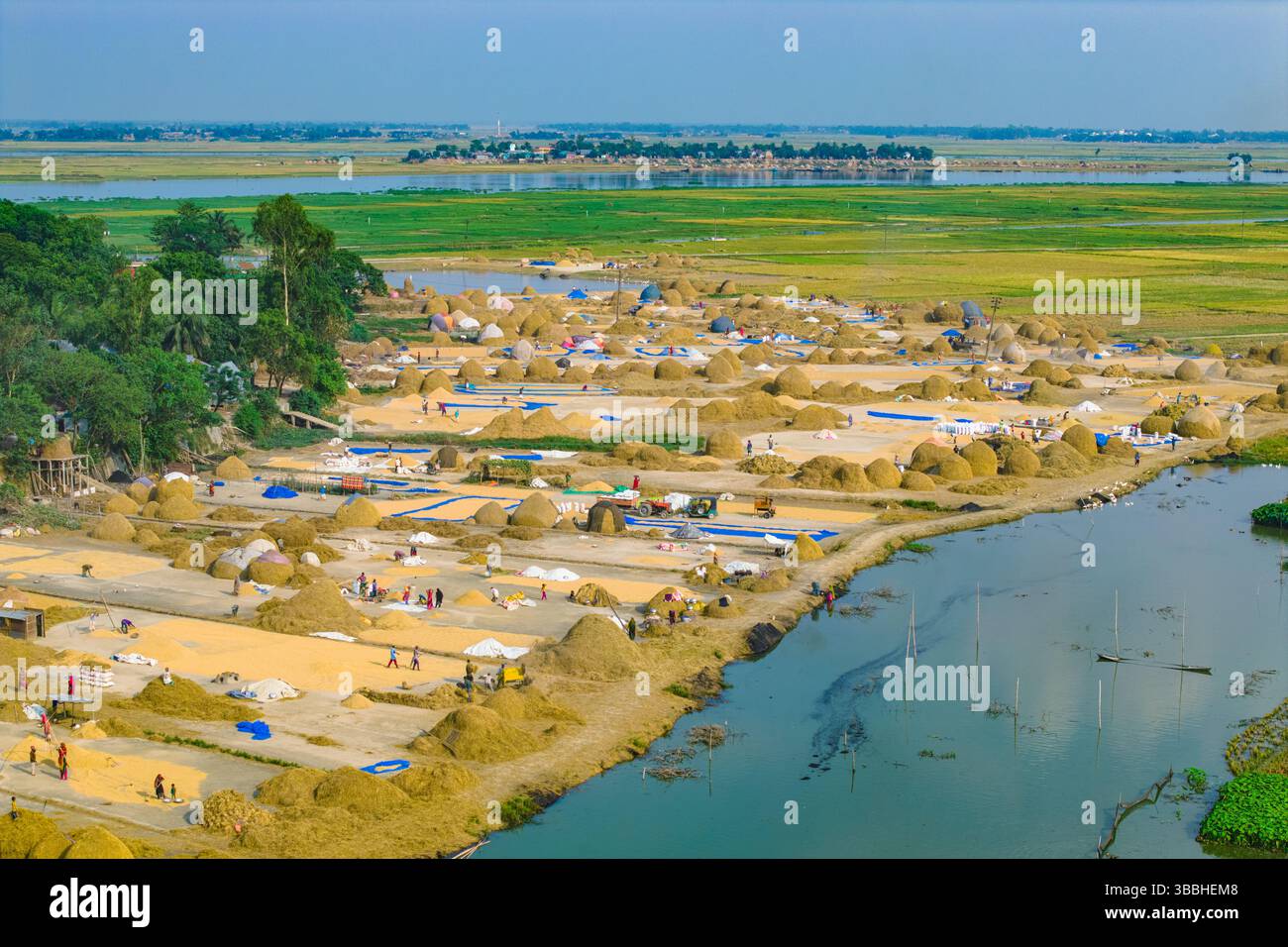 Vista dall'alto del campo di lavorazione del riso Foto Stock