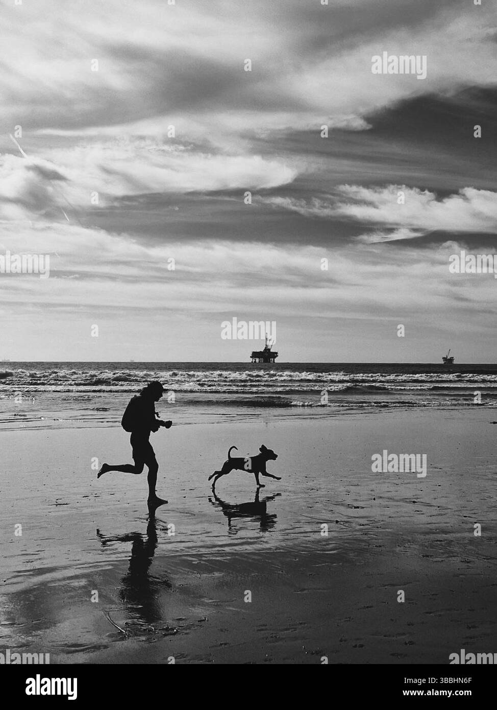 Il cane corre allegramente a fianco di una persona su una spiaggia durante la prima serata Foto Stock