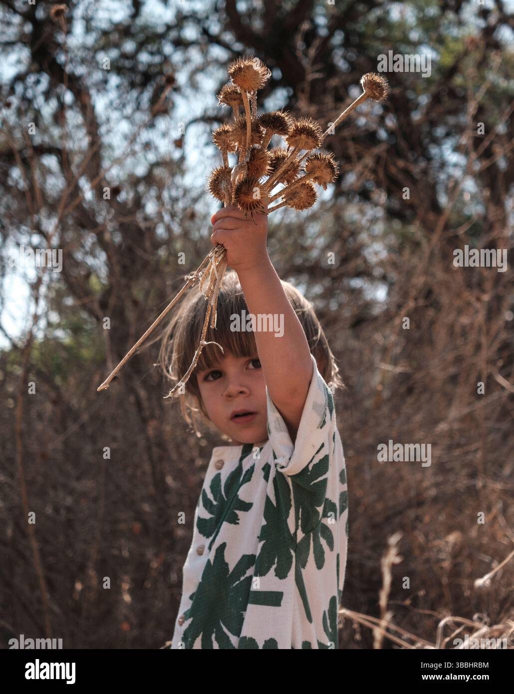 Guarda i Cardi trovati da questo Wee Foto Stock