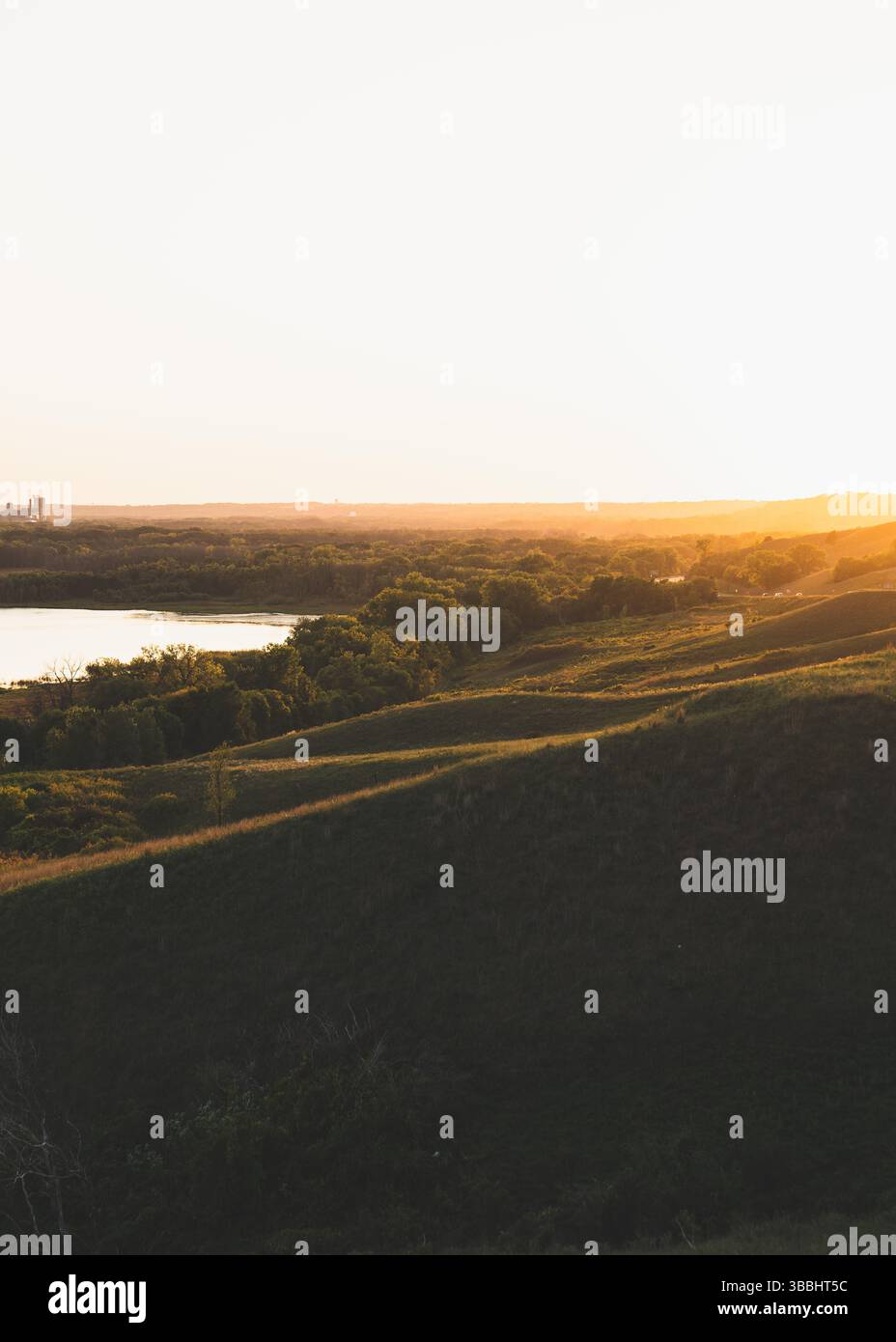 Rolling Hills al Golden Hour Foto Stock